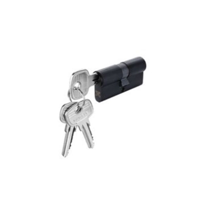 Ruột khóa 2 đầu chìa, chìa chủ EM 61mm Hafele 916.66.534